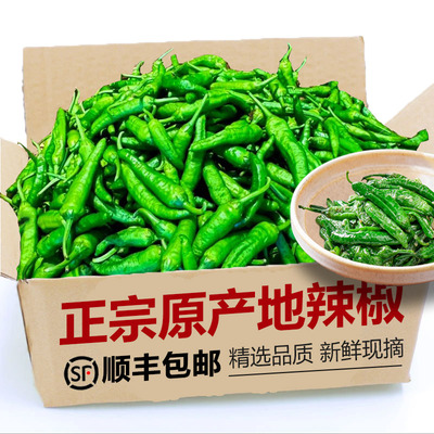 顺丰包邮！正宗湖南樟树新鲜辣椒