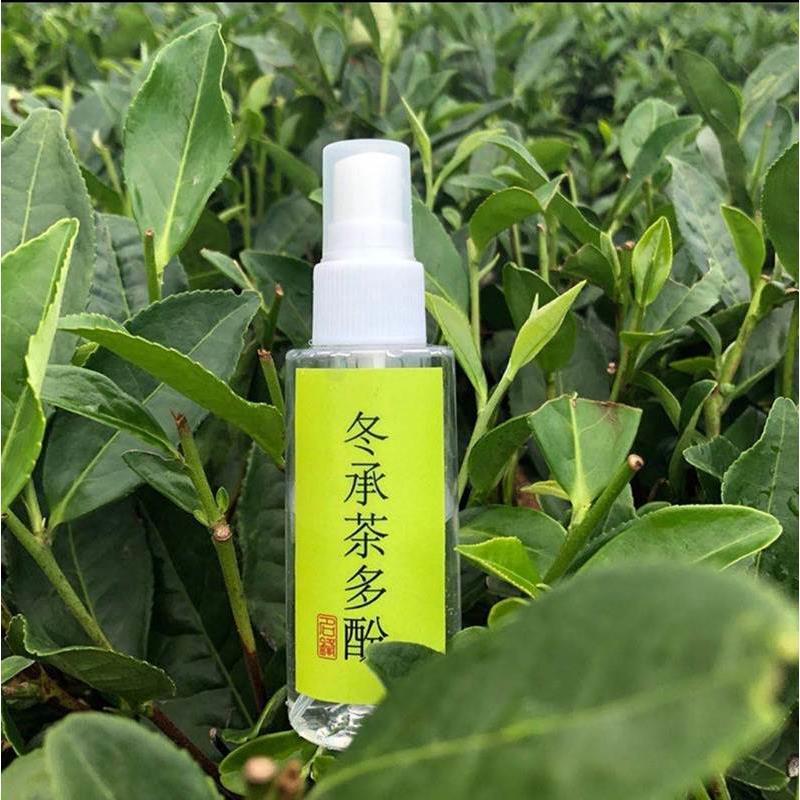 冬承茶多酚钓鱼人用品名锋阿坚