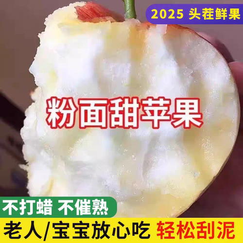 陕西秦冠苹果粉面沙甜老人婴儿孕妇宝宝刮果泥吃新鲜水果5斤包邮
