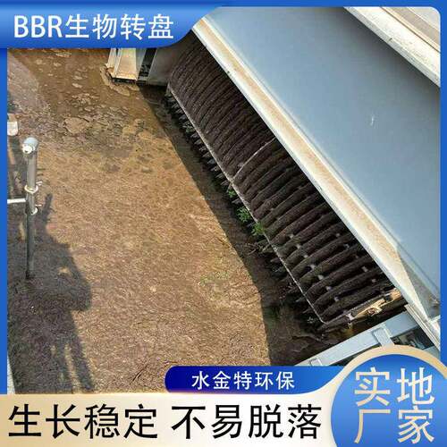 BBR生物转盘滤池PP盘片PVDC盘片PVDF盘片可配适用芽孢杆菌挂膜