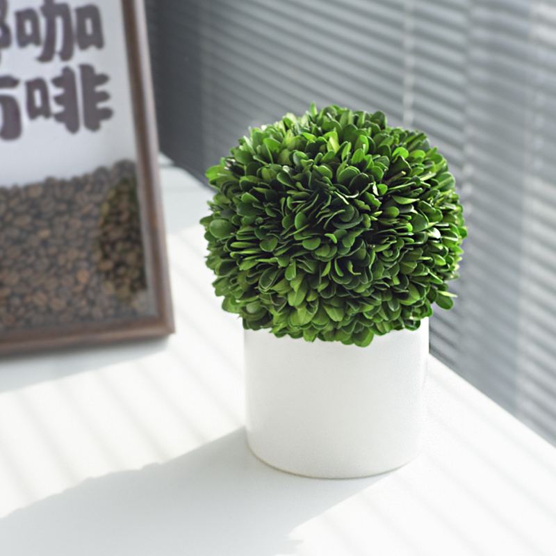 永生绿植免打理室内装饰摆件