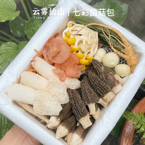 新鲜菌菇组合1kg七彩羊肚菌火锅