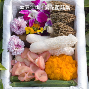 云雾仙山 新鲜繁花菌菇集1kg 羊肚菌竹荪花朵汤料包蘑菇菌子鸡汤