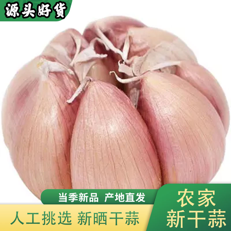 农家干大蒜产地直发坏果包赔