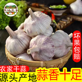 农家土蒜 农家大蒜头5斤紫白皮新干蒜种子新鲜蔬菜1斤3斤9斤