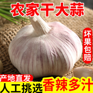 9斤 农家干大蒜头5斤紫白皮新干蒜种子新鲜蔬菜批发3 粉丝福利