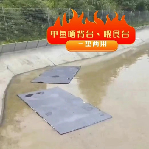 中华鳖甲鱼晒背台龟鳖食台垫加厚增加浮力爬台水鱼浮台站台牛蛙垫