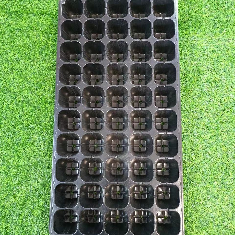 育苗穴盘50孔专用育苗杯