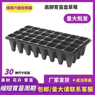 苗盘育苗21/50/72/105孔南瓜西瓜蔬菜苗盘玉米辣椒种子加厚苗盘
