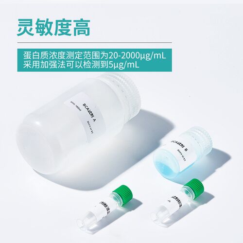 生物BCA法蛋白量试剂盒实验室蛋白浓度测比色检测500T
