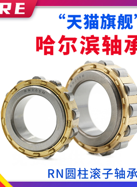减速机轴承RN203 204 205 206 207 208 209 210 212 213 214 215M