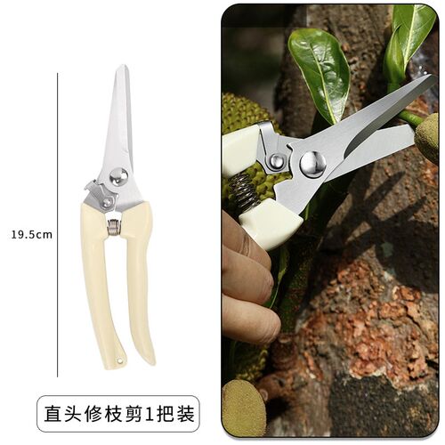 果树剪刀修枝神器园林剪花艺剪剪树枝花卉枝剪刀绿化嫁接园林园艺