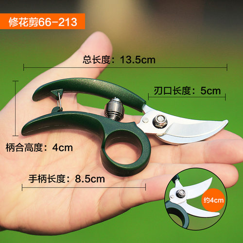 园艺迷你修花小剪刀养花多肉植物枝叶修剪园林修枝剪小花剪