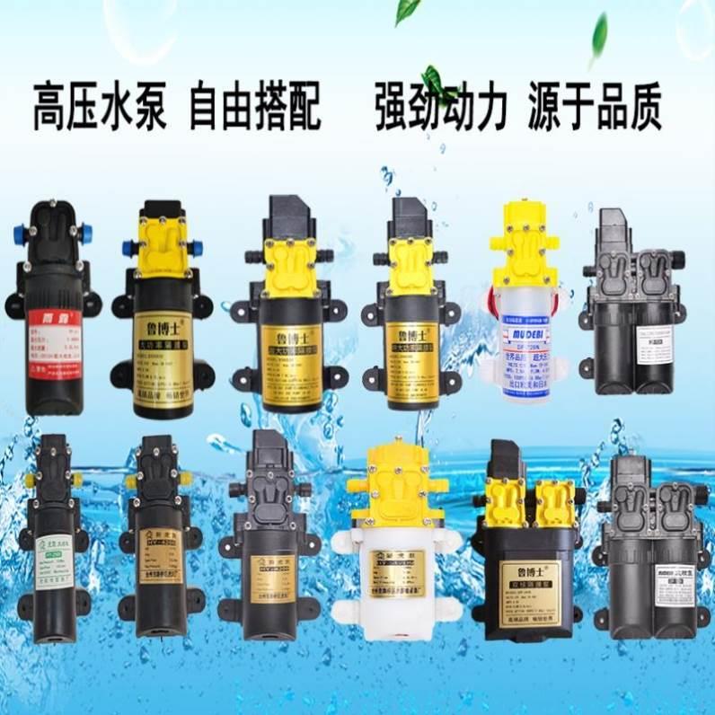 电动喷雾器水泵农用力高压充电2打泵药机XSW配件浇花大压电1V隔膜
