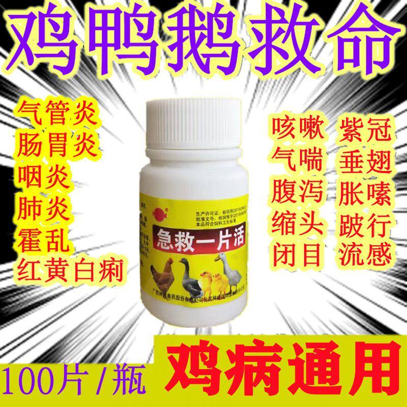 救禽一片活喂鸡药鸡药大全特效鸡鸭鹅鸽特效消炎气喘片禽类急救片怎么样,好用不?