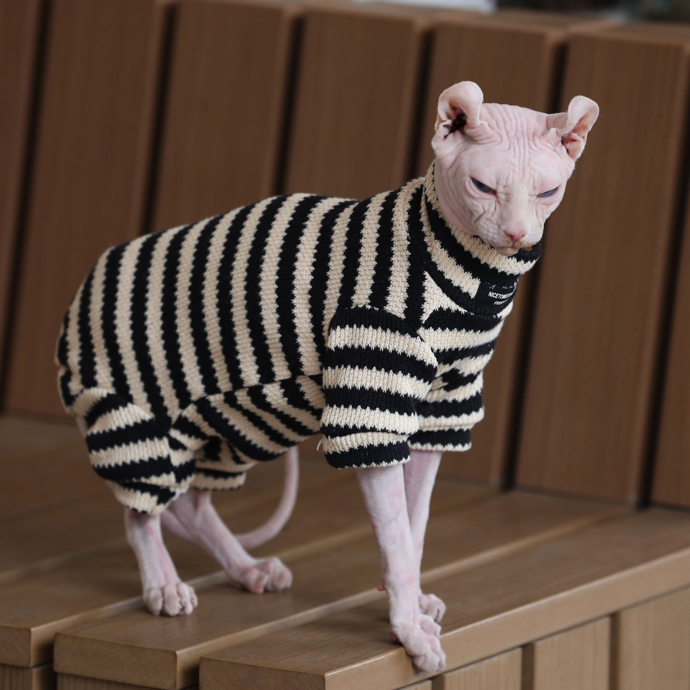 无毛猫护肚四脚保暖衣大弹力好穿脱斯芬克斯德文冬季棉衣柔软