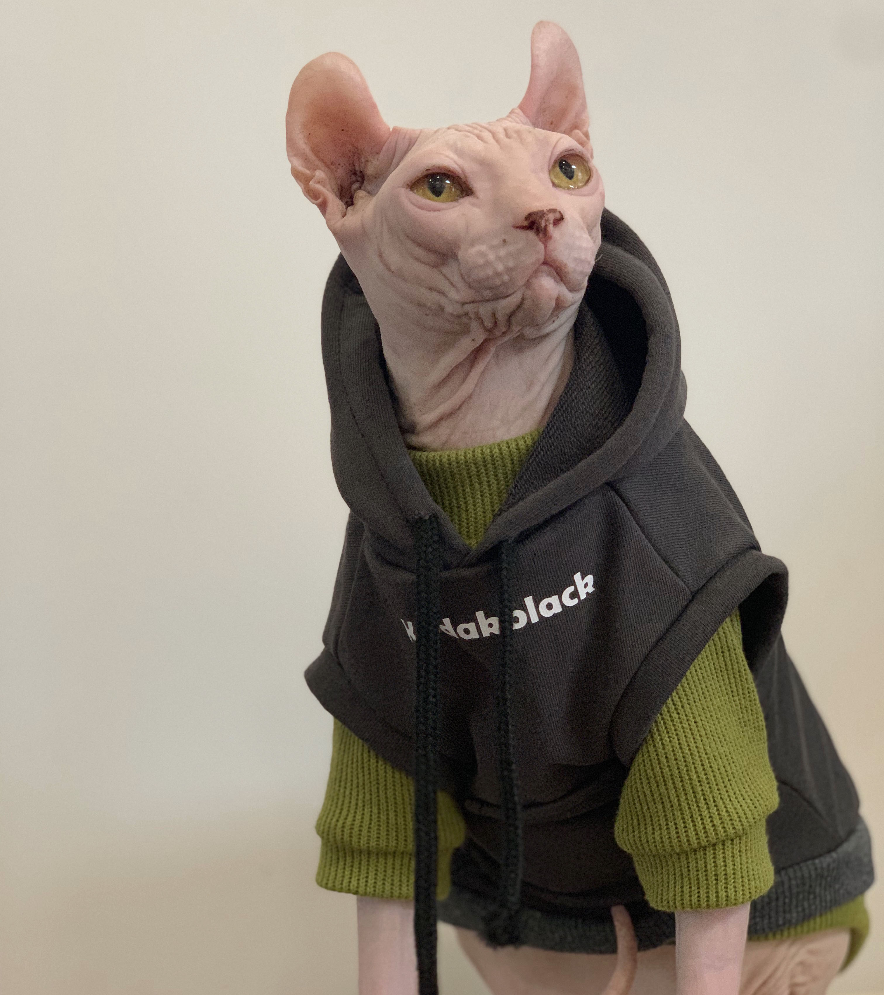 潮牌无毛猫衣服秋冬保暖斯芬克斯灰色连帽卫衣猫衣服德文矮脚