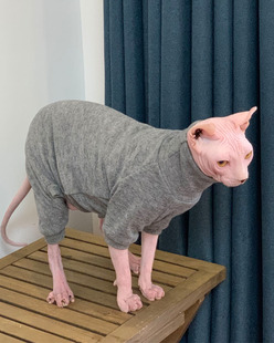 潮牌无毛猫衣服秋冬保暖斯芬克斯羊绒衫保暖内衣四脚德文矮脚