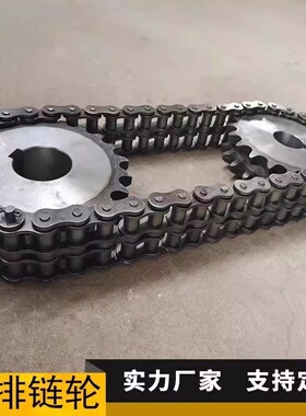 碳钢双排炼轮炼条非标定做08B10A12A16A20A24A工业机械传动齿轮