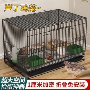芦丁鸡专用养殖笼子家用加密大号芦丁鸡铁丝笼小鸡小鸭子鹌鹑鸟笼
