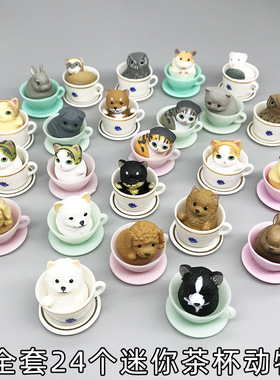抖音迷你茶杯猫小猫咪