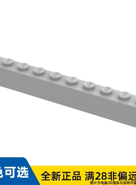 LEGO乐高正品零件砖块1X10 /6111/4211521