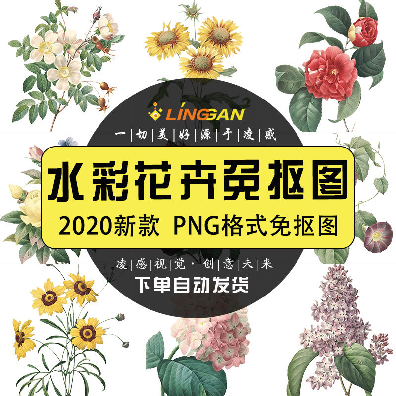 水彩植物素材价格 水彩植物素材图片 星期三