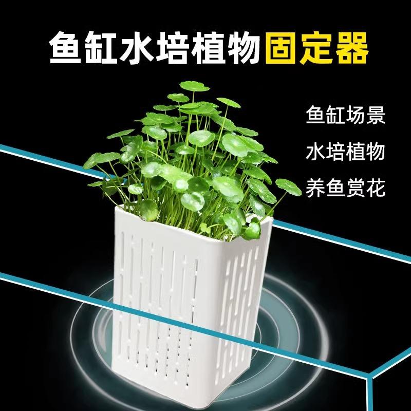 水培固定篮鱼缸水草固定神器壁挂式种植杯鱼缸造景装饰绿萝定植篮