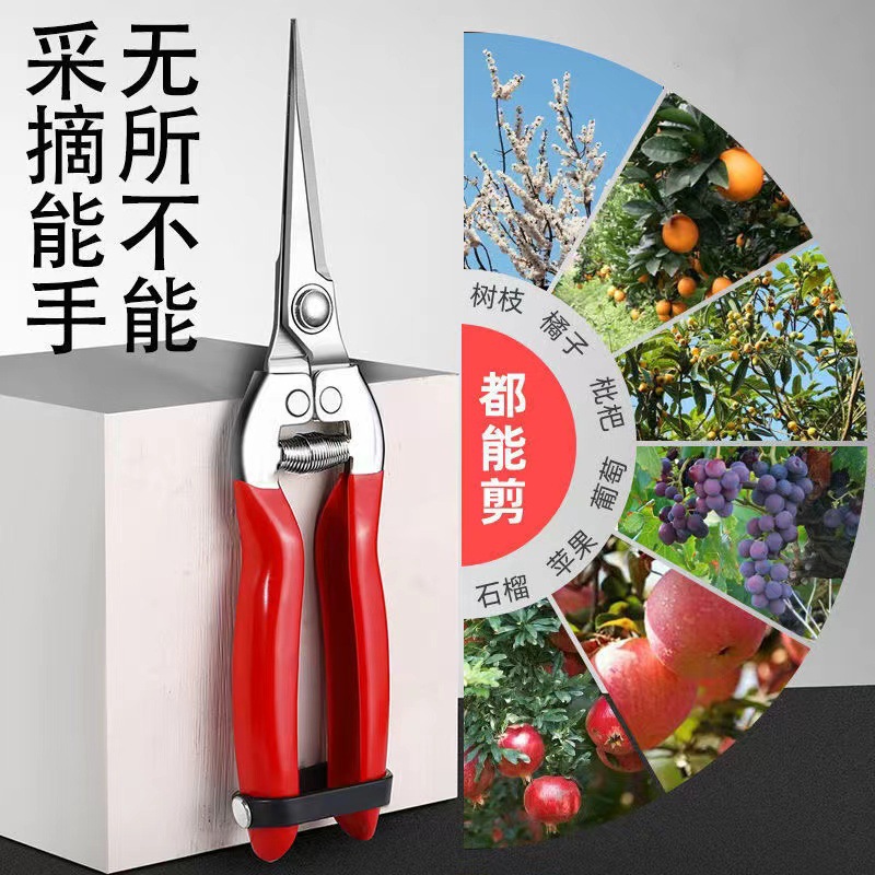 不锈钢修枝剪刀摘果剪葡萄剪蔬果剪花艺剪稀果剪刀树枝剪园艺剪刀