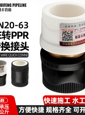 PE转PPR铜转换接头25双熔20热熔32PB63水管配件管材PRET不锈钢4分