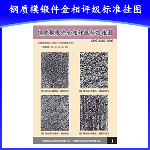 鋼質(zhì)模鍛件金相評級標(biāo)準(zhǔn)掛圖GB 金相掛圖圖譜 2007 T13320
