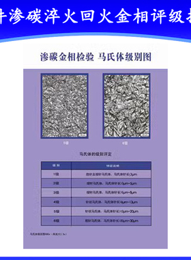 钢件渗碳淬火回火金相评级挂图GB/T25744-2010 金相挂图图谱