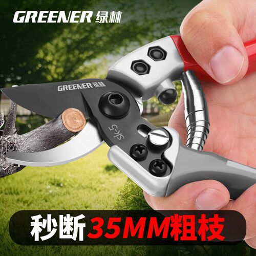 修枝剪园艺剪刀剪树枝专用剪刀园林修剪果树修枝花艺修花剪
