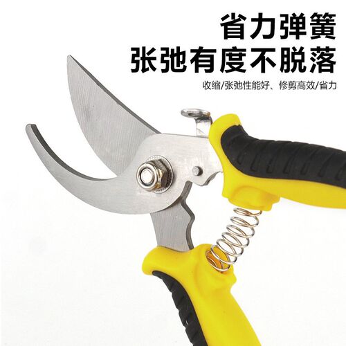 摘果剪园艺嫁接剪刀 园林果树花枝剪刀 不锈钢弯口剪园林修枝工具