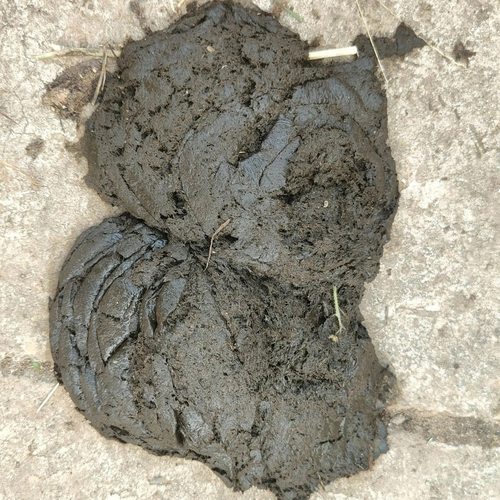 臭牛粪发酵营养种花种蔬菜有机肥自然晾晒无任何添加养蜜蜂新鲜