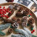 圣诞节天然原色松果松针礼物礼品打包装 diy材料 饰品道具花束包装