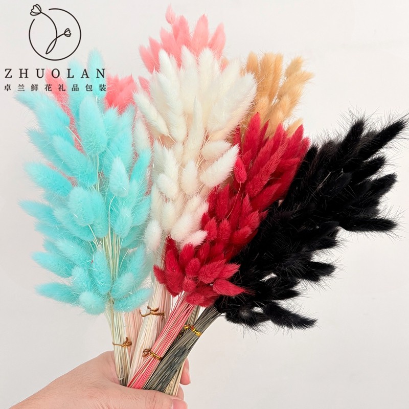 兔尾草狗尾巴草干花永生花鲜花包装手工diy材料花艺插花小配饰,鲜花速递/花卉仿真/绿植园艺,花艺材料,淘宝优惠券,粉丝福利购,淘宝优惠卷