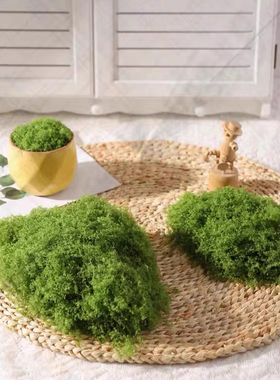 仿真丝状苔藓草坪人造假青苔仿真羊毛藓景观布置草坪盆景盆栽铺面