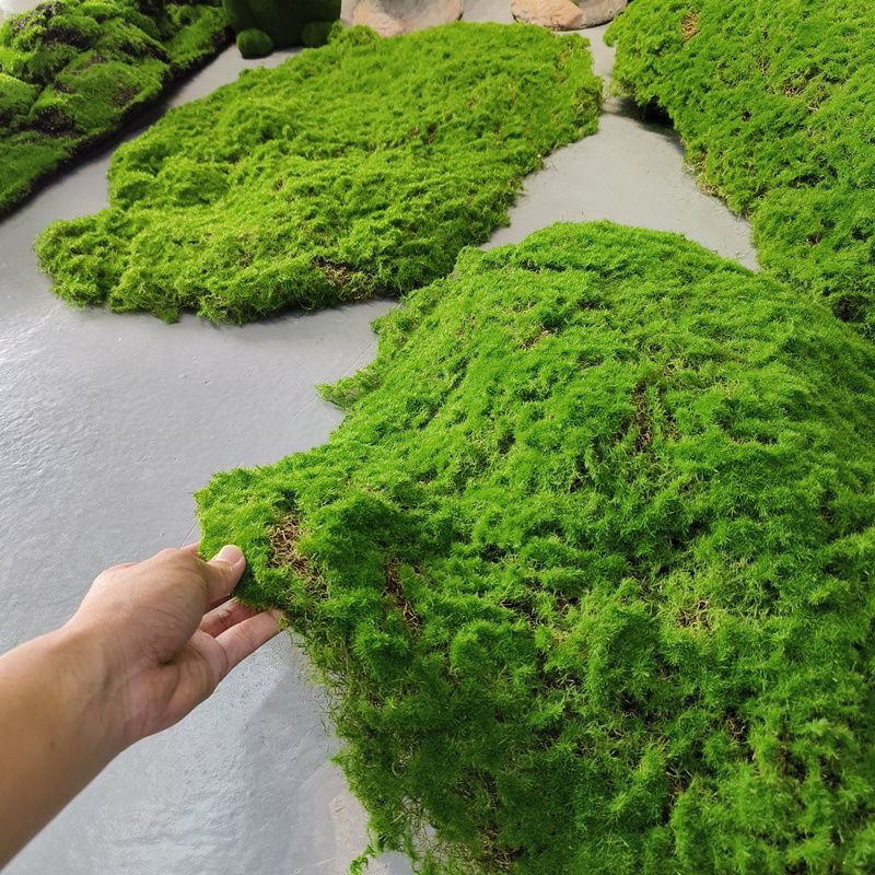 仿真苔藓草皮造景仿生假青苔微景观布置摆件草坪盆景盆栽铺面装饰,鲜花速递/花卉仿真/绿植园艺,仿真绿植,淘宝优惠券,粉丝福利购,淘宝优惠卷