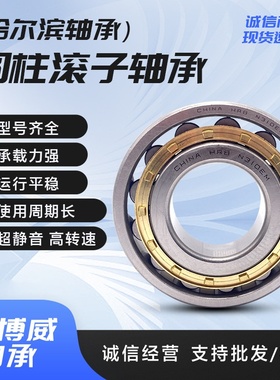 哈尔滨圆柱轴承 NU NJ NF 204 205 206 207 208 208 电机维修轴承
