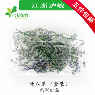 情人草 新鲜鲜花 拍盘饰花约30g/盒 西餐酒店装饰摆盘鲜花点缀