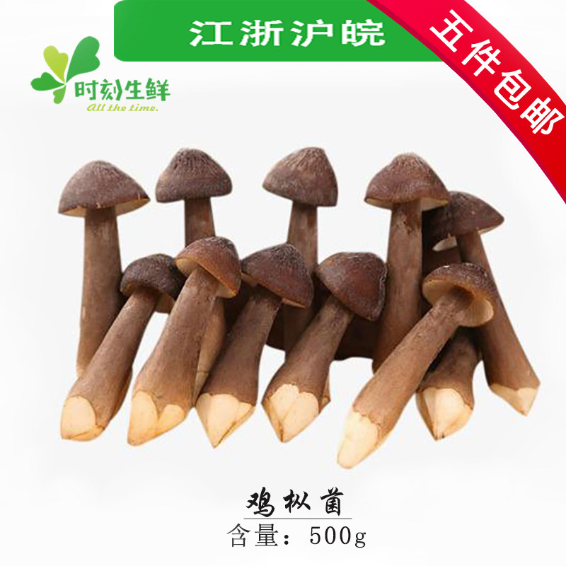 新鲜黑皮鸡纵菌  雞樅 鸡茸 新鲜蘑菇鸡棕菇鸡枞菌500g