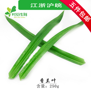 新鲜香兰叶新鲜斑斓叶 甲抛叶食用 泰国香料 调味精品 250g