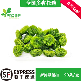新鲜绿色纽扣菊花 绿雏菊 西餐酒店摆盘装饰鲜花草蛋糕烘焙点缀花