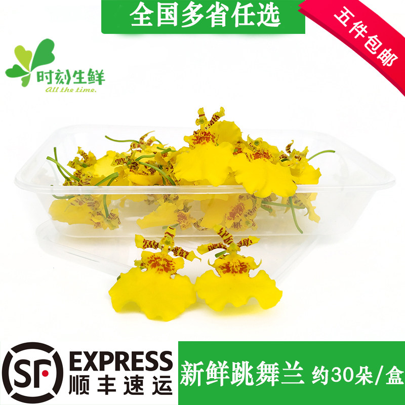 新鲜跳舞兰 金蝶兰 文心兰食用花酒店西餐摆盘装饰鲜花约30朵/盒
