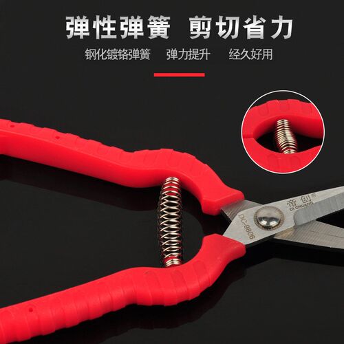 不锈钢尖头果园摘果剪采摘水果葡萄稀果剪刀修枝果枝树枝枇杷