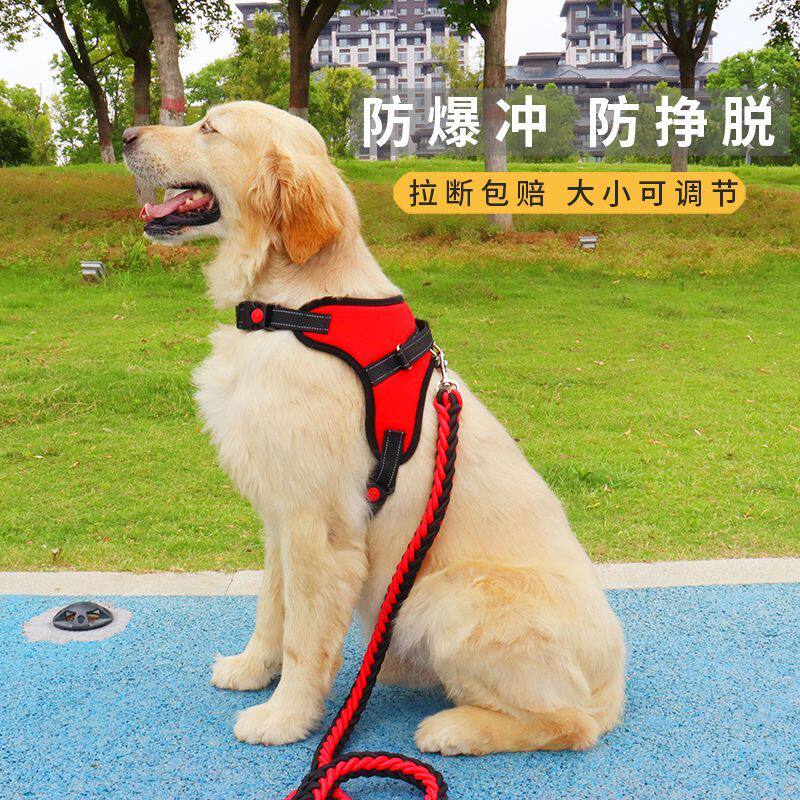 狗牵引绳大型犬加粗款狗狗牵引绳胸背带金毛拉布拉多中大型犬狗链