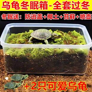 乌龟冬眠用品全套专用椰土苔藓饲养盒恒温箱小别墅带盖防逃保暖窝