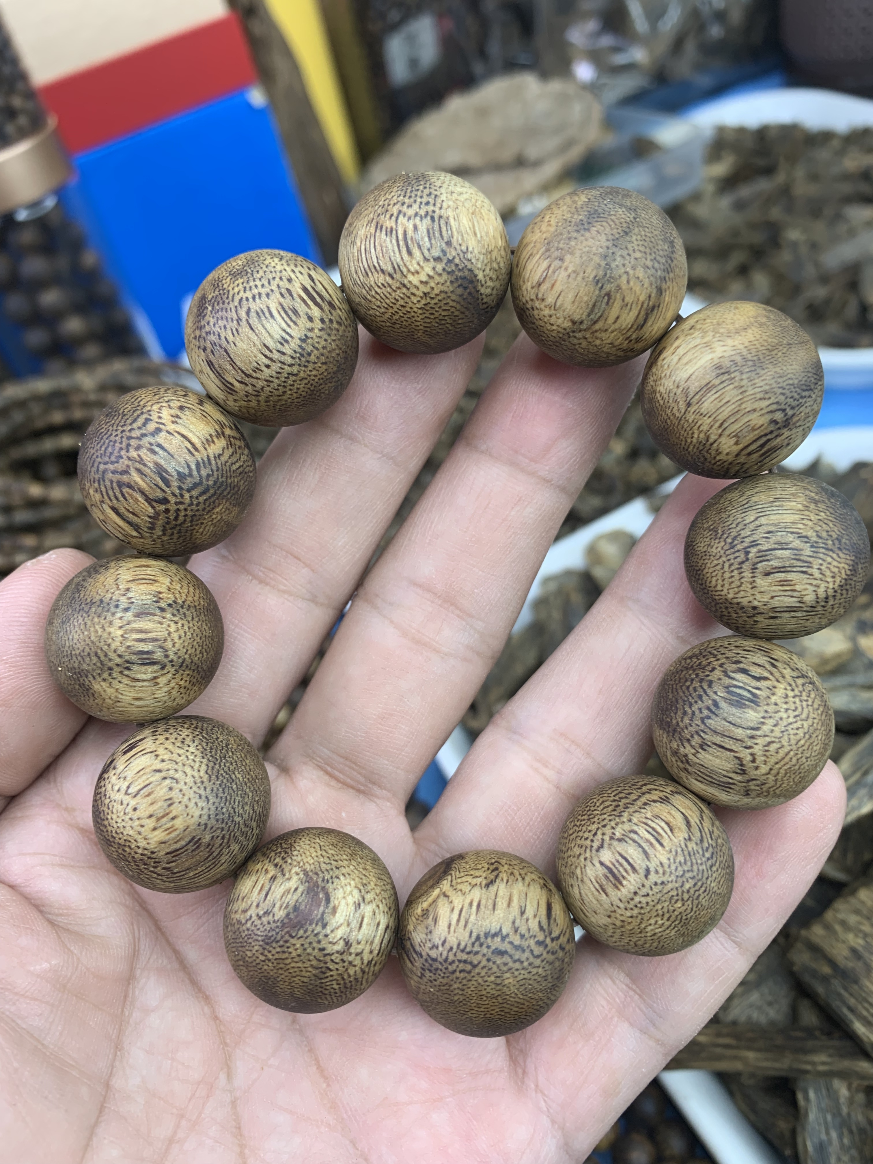 种植棋楠沉香2.0单圈99沉33