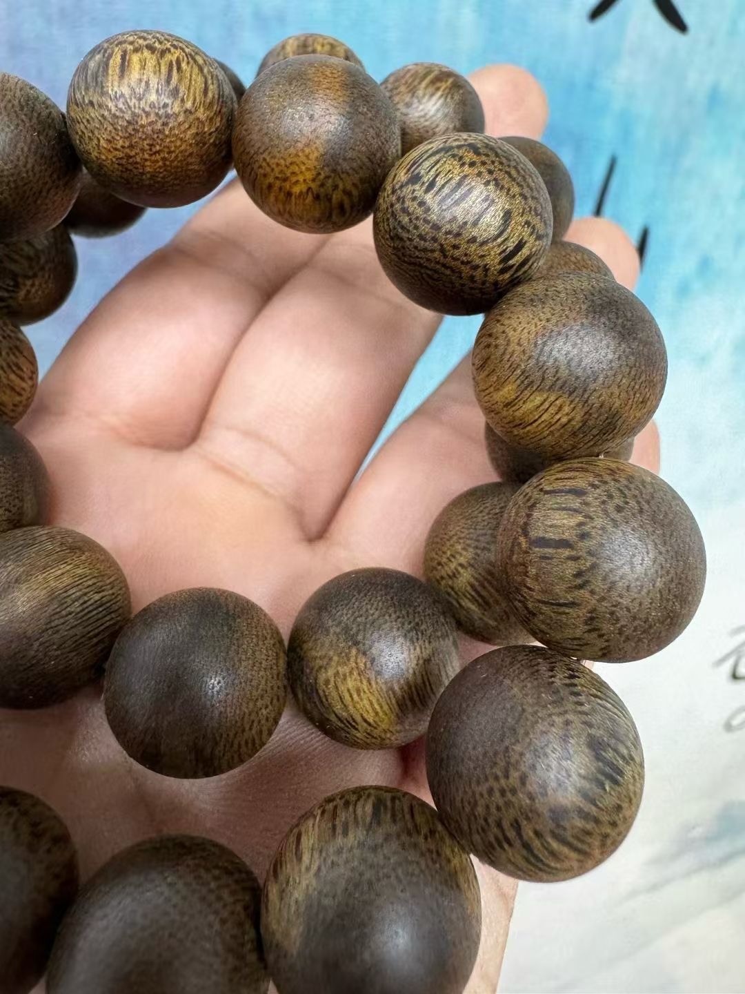 种植棋楠沉香1.6尺寸21克